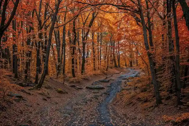 دانلود آهنگ دیدمت از دور 